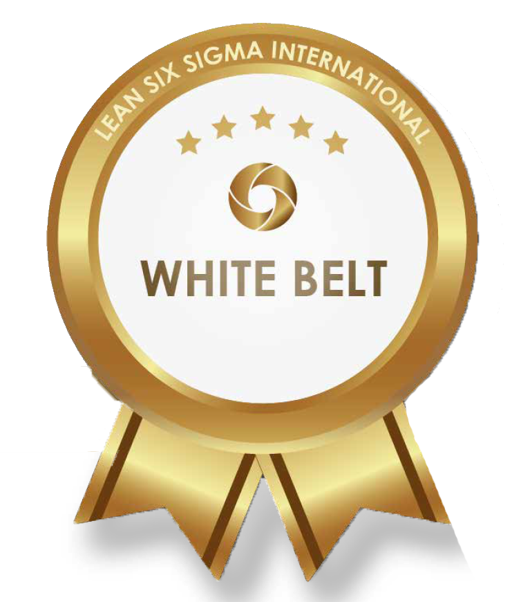 Six Sigma: White Belt